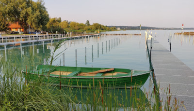 A Balatonkenesei Horg&aacute;sz Egyes&uuml;let tagfelv&eacute;telt hirdet, egymilli&oacute; forint a bel&eacute;p&eacute;si d&iacute;j