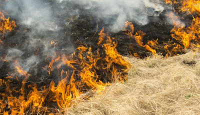 P&aacute;p&aacute;n &eacute;s Veszpr&eacute;mben gyulladt meg a sz&aacute;raz fű