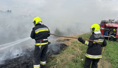 N&eacute;gysz&aacute;z n&eacute;gyzetm&eacute;teren &eacute;gett a n&aacute;das Zircen