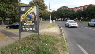 P&eacute;nteken Veszpr&eacute;mben is &aacute;tadj&aacute;k az alternat&iacute;v n&eacute;pszavaz&aacute;s eredm&eacute;nyeit