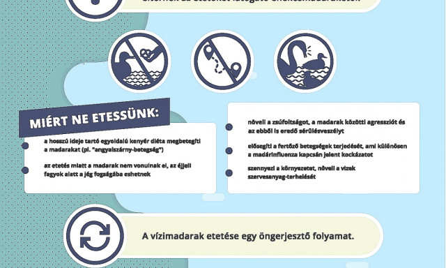 Ne etess&uuml;k a v&iacute;zimadarakat a Balatonn&aacute;l se