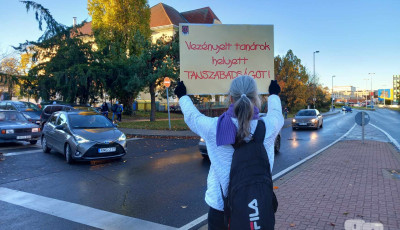 Zebraszerda t&ouml;retlen&uuml;l Veszpr&eacute;mben &ndash; GAL&Eacute;RIA