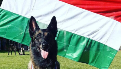 Vil&aacute;gbajnok n&eacute;gyl&aacute;b&uacute; hős&ouml;k akci&oacute;ban