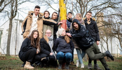 Tal&aacute;lkoz&aacute;si pontok k&eacute;sz&uuml;lnek Veszpr&eacute;mben - Kolostorok &eacute;s kertek