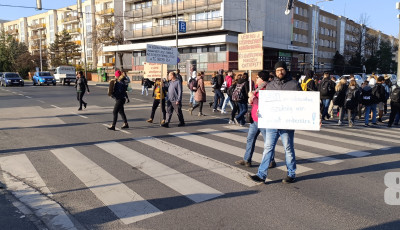 T&ouml;retlen a zebraszerda Veszpr&eacute;mben - GAL&Eacute;RIA