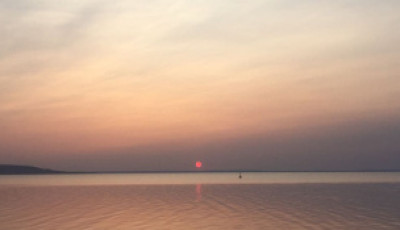 Szaharai poros k&aacute;nikula &eacute;rkezik