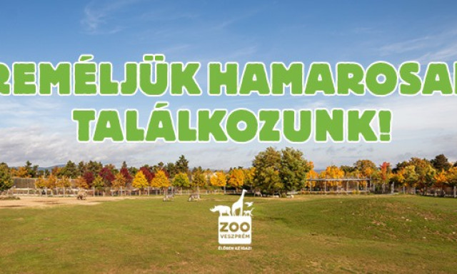 Folytat&oacute;dnak a fejleszt&eacute;sek a veszpr&eacute;mi &aacute;llatkertben