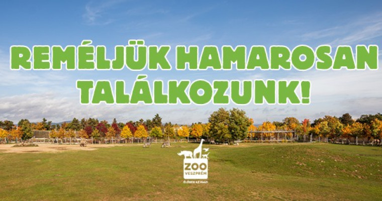 Folytat&oacute;dnak a fejleszt&eacute;sek a veszpr&eacute;mi &aacute;llatkertben