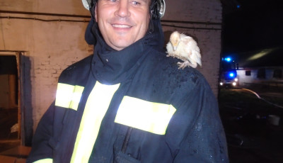 Tűz &uuml;t&ouml;tt ki a pulykatelepen - Egy kis fi&oacute;ka a tűzolt&oacute; v&aacute;ll&aacute;n tal&aacute;lt mened&eacute;kre