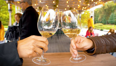 T&ouml;bb mint 50 balatoni bor&aacute;szat mellett Franciaorsz&aacute;g &eacute;s Argent&iacute;na is bemutatkozik a  Balaton Wine &amp; Gourmet fesztiv&aacute;lon