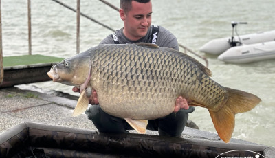 Elstartolt a balatoni horg&aacute;szjegy &eacute;rt&eacute;kes&iacute;t&eacute;s