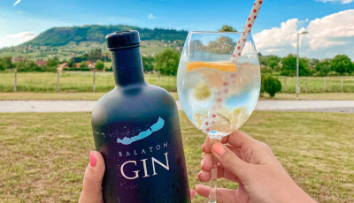 A ginek Oscar-d&iacute;j&aacute;nak tartott verseny&eacute;n tartolt a Balaton Gin