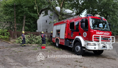 K&eacute;ső estig dolgoztak a veszpr&eacute;mi tűzolt&oacute;k, hogy felsz&aacute;molj&aacute;k a vihar okozta k&aacute;rokat
