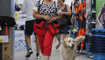 &Aacute;llatbar&aacute;t &uuml;zlet lett a veszpr&eacute;mi Decathlon