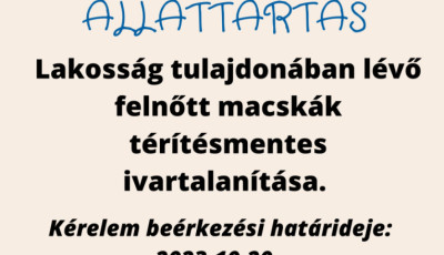 P&eacute;lda&eacute;rt&eacute;kű - Ingyenes macska ivartalan&iacute;t&aacute;st hirdetett Lit&eacute;r &Ouml;nkorm&aacute;nyzata