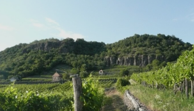 Őszi t&uacute;ra a Soml&oacute;n - S&eacute;ta a Kitaibel P&aacute;l tan&ouml;sv&eacute;nyen