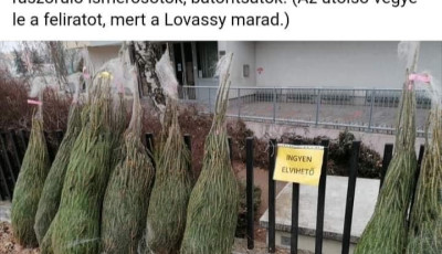 Ingyen elvihető fenyőf&aacute;k v&aacute;rj&aacute;k kar&aacute;csonyi otthonukat a Lovassyn&aacute;l