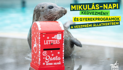 F&eacute;l&aacute;ras Mikul&aacute;s-nap a Veszpr&eacute;mi &Aacute;llatkertben - Csak egy rajz kell hozz&aacute;