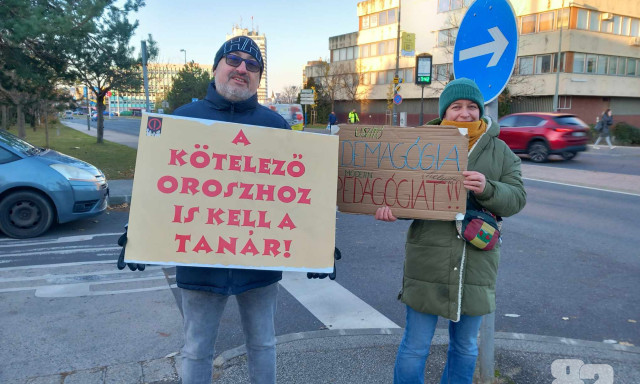 A hideg sem &aacute;ll&iacute;tja meg a veszpr&eacute;mi zebraszerd&aacute;z&oacute;kat - GAL&Eacute;RIA