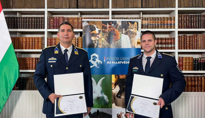 Orsz&aacute;gos elismer&eacute;st kaptak a bullterriert megmentő tapolcai rendőr&ouml;k