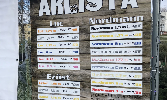 Mutatjuk hol, mennyi&eacute;rt vehet&uuml;nk fenyőf&aacute;t id&eacute;n Veszpr&eacute;mben!