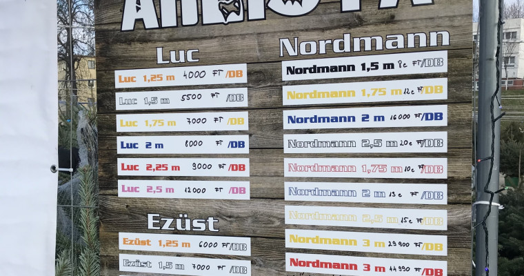Mutatjuk hol, mennyi&eacute;rt vehet&uuml;nk fenyőf&aacute;t id&eacute;n Veszpr&eacute;mben!