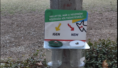 Cs&uuml;t&ouml;rt&ouml;k&ouml;n t&aacute;rgyalja a k&ouml;zgyűl&eacute;s a k&ouml;z&ouml;ss&eacute;gi k&ouml;lts&eacute;gvet&eacute;st