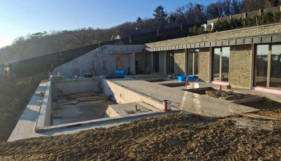 Medence, p&aacute;lmafa, szőlő n&eacute;lk&uuml;li szőlőbirtok &ndash; &iacute;gy n&eacute;z ki a NER-bor&aacute;szat Tihanyban