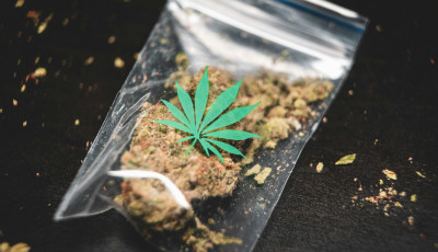Volt n&aacute;la mindenf&eacute;le k&aacute;bszi - T&ouml;bb mint 1 kil&oacute;t foglaltak le a rendőr&ouml;k