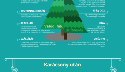 Elindult a kar&aacute;csonyfa vad&aacute;szat, de val&oacute;di vagy műfenyő ker&uuml;lj&ouml;n a nappaliba ?