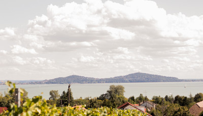 H&eacute;tv&eacute;g&eacute;n meg&eacute;ri Badacsonyba l&aacute;togatni