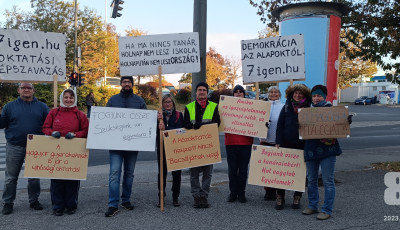 Hi&aacute;ba az őszi hideg, egyre t&ouml;bben zebraszerd&aacute;znak Veszpr&eacute;mben - GAL&Eacute;RIA