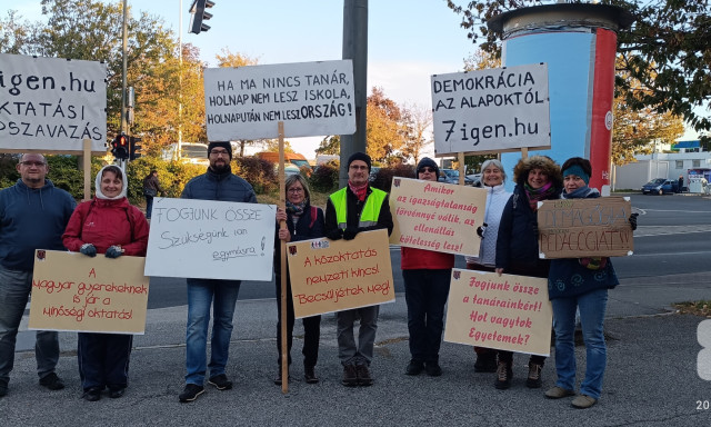 Hi&aacute;ba az őszi hideg, egyre t&ouml;bben zebraszerd&aacute;znak Veszpr&eacute;mben - GAL&Eacute;RIA