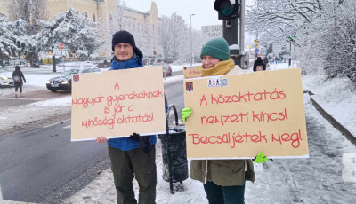 Sem a h&oacute;, sem a fagy nem &aacute;ll&iacute;tja meg a veszpr&eacute;mi zebraszerd&aacute;z&oacute;kat &ndash; GAL&Eacute;RIA