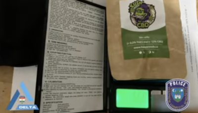 Sv&aacute;jcb&oacute;l rendelt f&uuml;vet, a rep&uuml;lőt&eacute;ren buktatt&aacute;k le a csopaki f&eacute;rfit