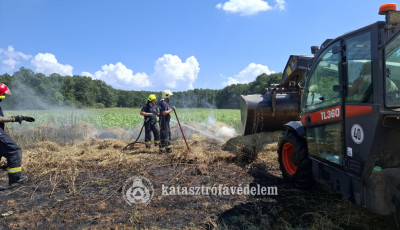 Egy hekt&aacute;ron &eacute;gett az aljn&ouml;v&eacute;nyzet &eacute;s tizen&ouml;t k&ouml;rb&aacute;la Nemesv&aacute;mos k&uuml;lter&uuml;let&eacute;n