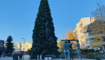 Veszpr&eacute;mbe is meg&eacute;rkezett a kar&aacute;csony &ndash; Elfoglalta hely&eacute;t a v&aacute;ros kar&aacute;csonyf&aacute;ja