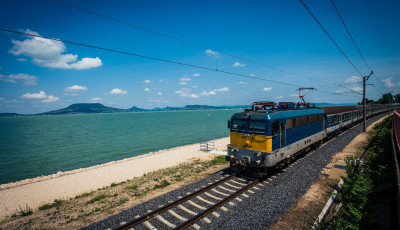 Egy kidőlt fa miatt &ouml;sszeomlott a k&ouml;zleked&eacute;s a d&eacute;l-balatoni vas&uacute;tvonalon