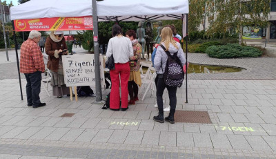 T&ouml;bb mint 800-an szavaztak m&aacute;r Veszpr&eacute;mben az alternat&iacute;v n&eacute;pszavaz&aacute;son.