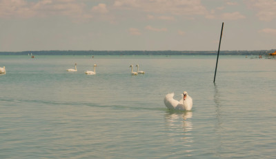 Napernyő, n&aacute;das, rozsda &ndash; Mit szeret&uuml;nk a szocre&aacute;l romantik&aacute;ban?
