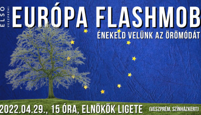 Első alkalommal szerveznek Eur&oacute;pa Flashmobot Veszpr&eacute;mben, az Eln&ouml;k&ouml;k liget&eacute;ben