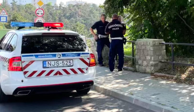 77 &eacute;ves nyug&aacute;llom&aacute;ny&uacute; rendőr akad&aacute;lyozott meg egy &uacute;jabb trag&eacute;di&aacute;t a viadukton