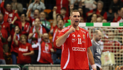 A h&eacute;ten megkezdődik a f&eacute;rfi k&eacute;zilabda EB