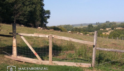 V&aacute;dat emeltek a szentg&aacute;li gyilKOS gazd&aacute;ja ellen