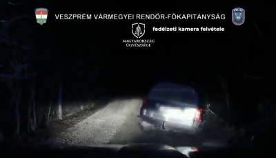 Ittasan, lopott aut&oacute;val menek&uuml;lt a rendőr&ouml;k elől egy 28 &eacute;ves veszpr&eacute;mi f&eacute;rfi - VIDE&Oacute;