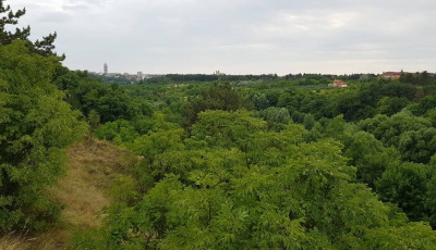 K&ouml;z&eacute;rdekűadat-ig&eacute;nyl&eacute;s: K&eacute;t l&eacute;p&eacute;sben ker&uuml;ltek mag&aacute;nk&eacute;zbe az aranyosv&ouml;lgyi telkek