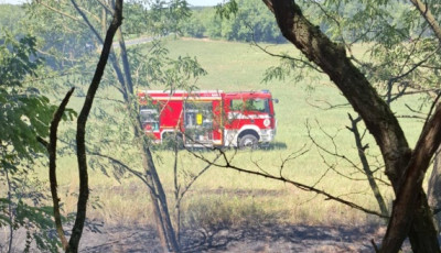 Szabadt&eacute;ri t&uuml;zek adtak rengeteg feladatot a Veszpr&eacute;m megyei tűzolt&oacute;knak