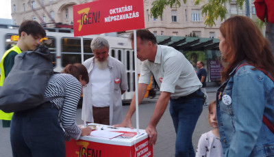 V&eacute;glegesek az alternat&iacute;v oktat&aacute;si n&eacute;pszavaz&aacute;s k&eacute;rd&eacute;sei