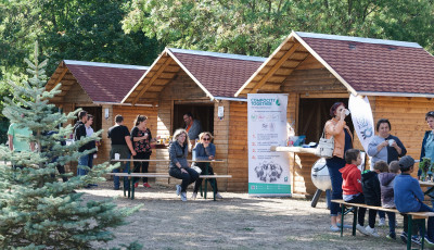 Elkezdőd&ouml;tt a Fenntarthat&oacute;s&aacute;g mindenKOR esem&eacute;ny a K&aacute;lvin J&aacute;nos Parkban