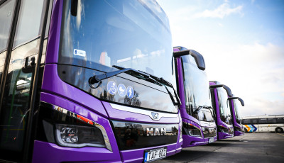 Idősek-fiatalok, kicsik &eacute;s nagyon figyelem - Eg&eacute;sz Janu&aacute;rban ingyen buszozhatunk Veszpr&eacute;mben